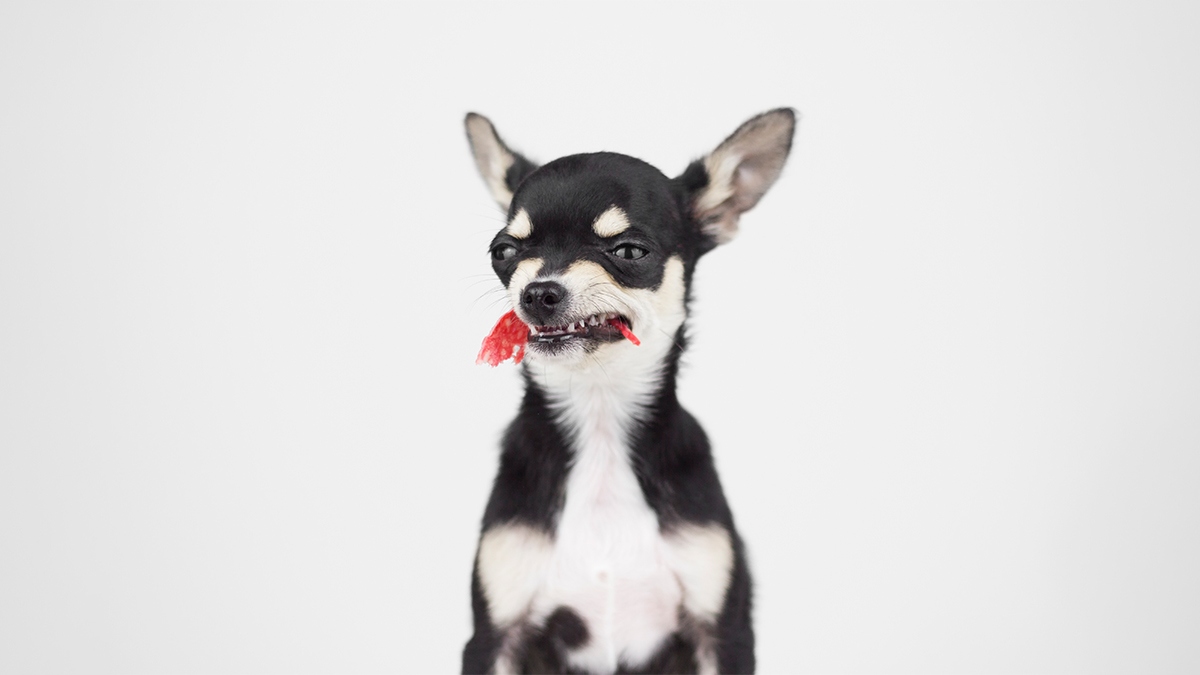 Hvordan arbejder man med en person, der skaber unødig konflikt?