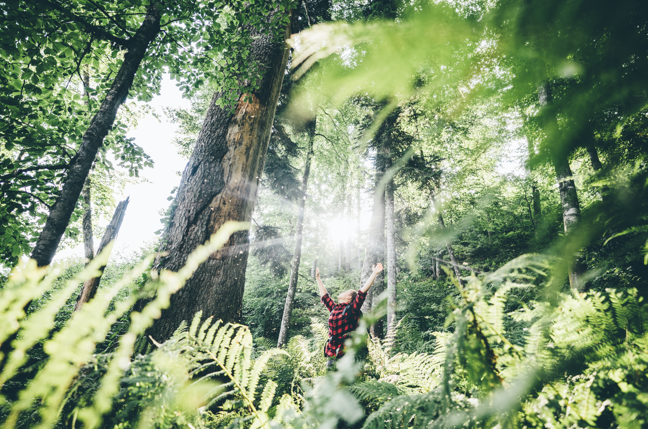 Du kan både vara en stor ledare och ha tid att leva livet