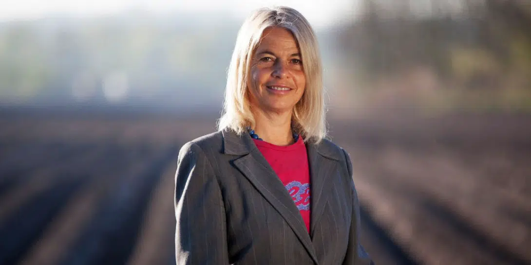 Karen Wendt on leaders working for sustainable implimentation